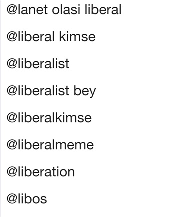 liberalist bey