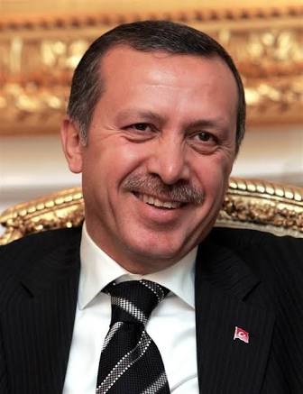 recep tayyip erdoğan'ı sevmemek için sebepler