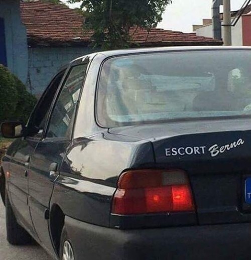 ford escort