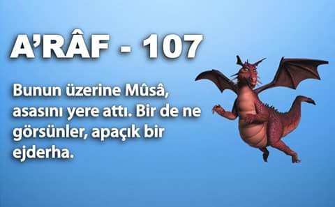 araf 107