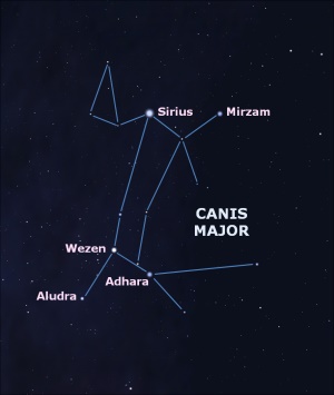 Canis Major 116224 Laik Sozluk